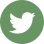 Logo-social-twitter