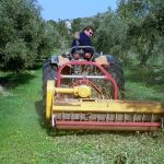 Shredding of the pruned branches