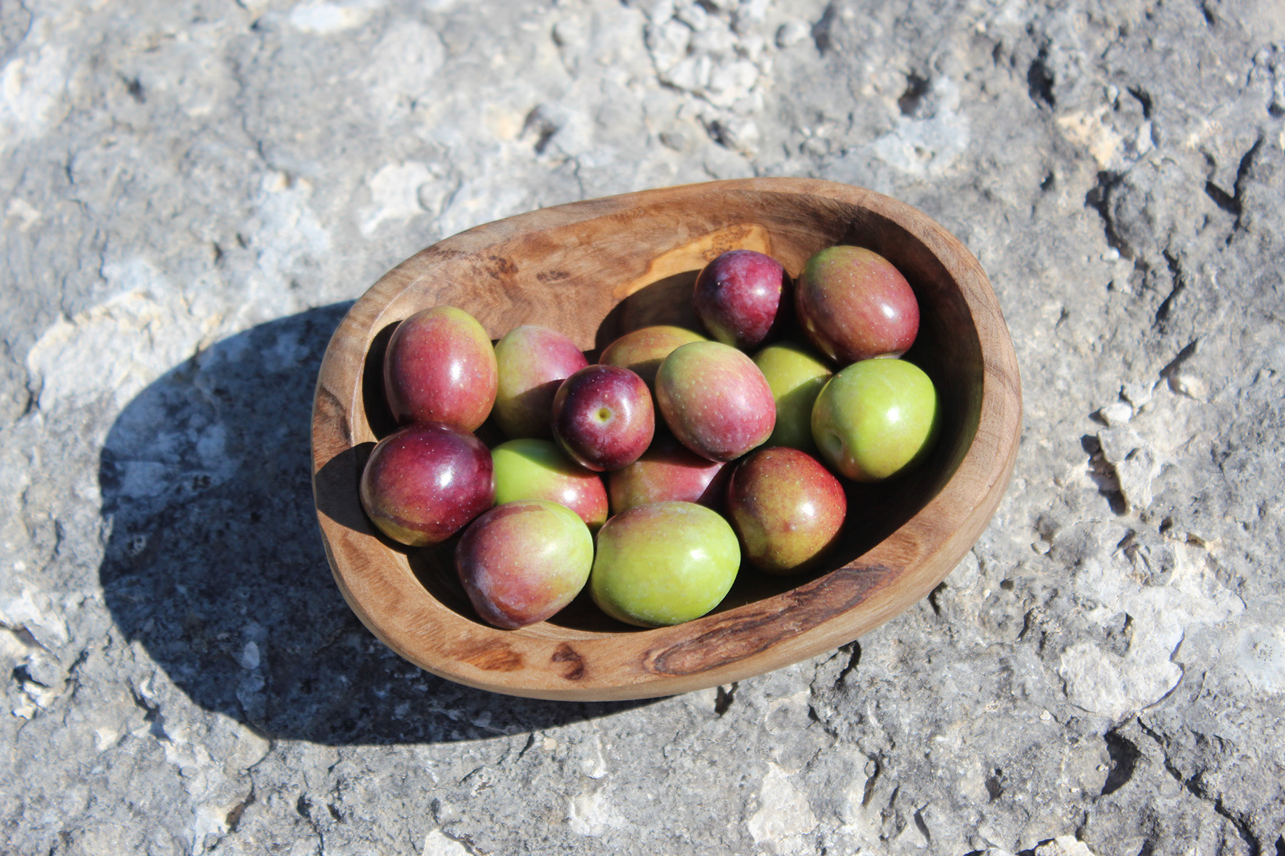 Olive de table de Provence et ses AOP