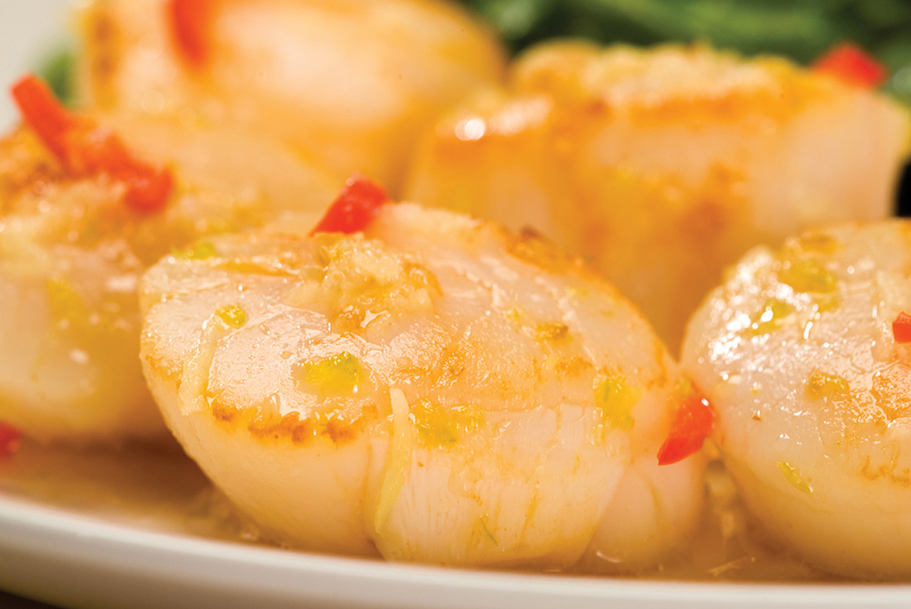 Scallop recipe photo