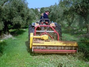 Broyage des bois de taille