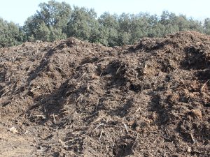 Compostage des grignons