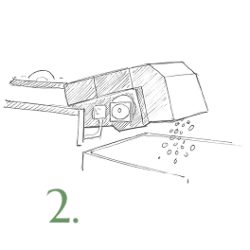 step2-defoliation