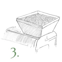 step3-washing
